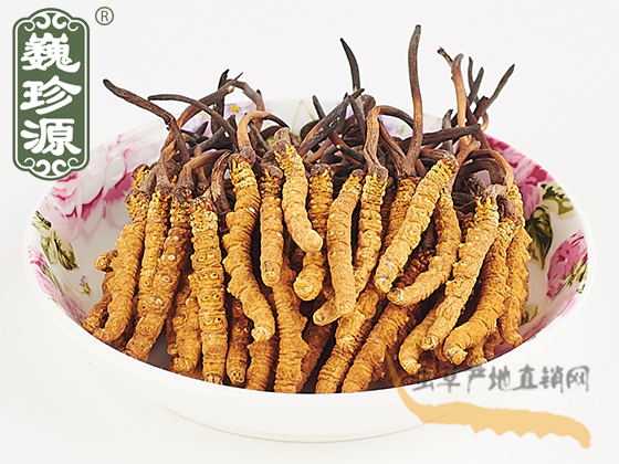 那曲冬蟲夏草3.5條/克 中期草 精選貨