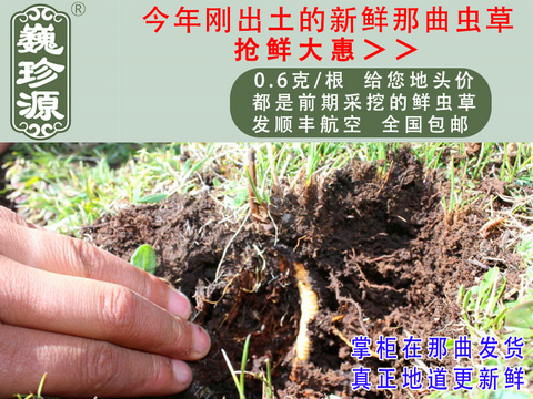 ���r���x�Ĳ����������r�x�ݣ�Ρ��Դ0.6��/���^�����r�������x�Ĳ��������ڳ����������^�����r�x��