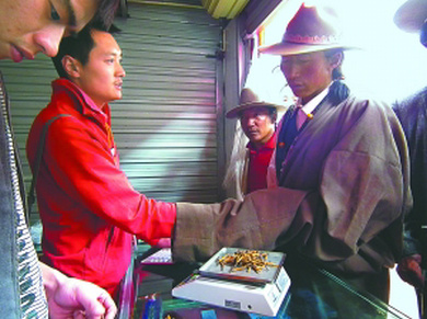 ���x(ch��ng)�Ĳ��I(m��i)�u(m��i),�����x(ch��ng)�ݽ������Z(y��),�x(ch��ng)���I(m��i)�u(m��i)ӑ�r(ji��)߀�r(ji��)�ð��Z(y��)